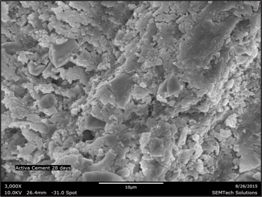 Contemporary Use of Bioactive Materials in Restorative Dentistry ...